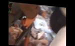 FSA video screenshot