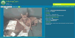 InformaCam backend server