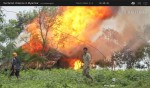 Burning fields