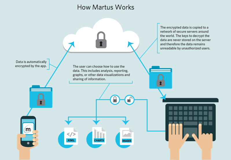 How Martus Works, screenshot from www.martus.org