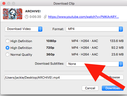 How To Burn Subtitles Into Your YouTube Videos - WITNESS Blog